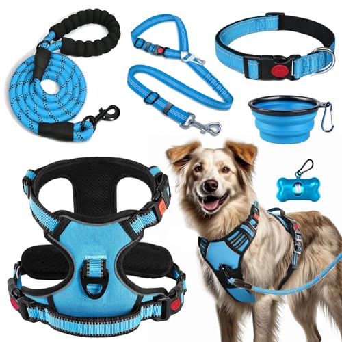 LOBEVE No Pull Dog Harness Travel Set